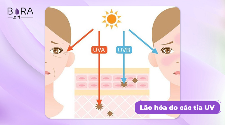 Ánh nắng mặt trời luôn là nguyên nhân chính cho các vấn đề của da