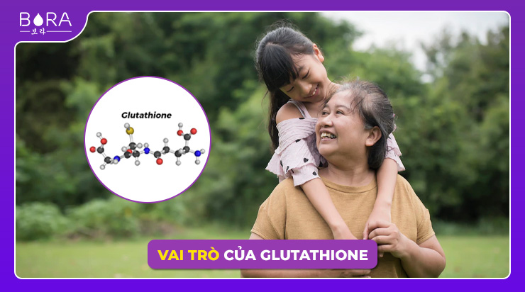 Glutathione đóng vai trò quan trọng trong chuyển hóa và sinh hóa
