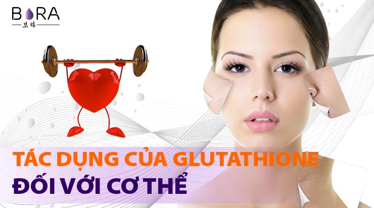 Glutathione giúp đào thải các độc tố bên trong cơ thể