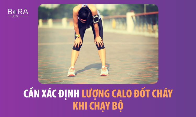 chay bo 30 phut dot chay bao nhieu calo 1